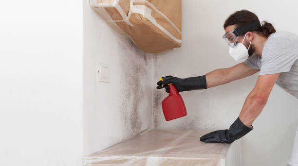 Professional Attic Mold Remediation technician working in Hudson, CO